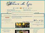 Fleur de Lys