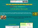 plantes-ornementales - Plantes et fleurs du jardin