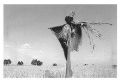 benchaabane 18 benchaabane 18