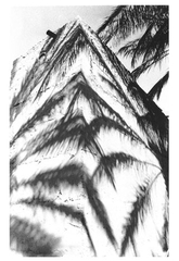 benchaabane 49 benchaabane 49