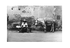 benchaabane 61