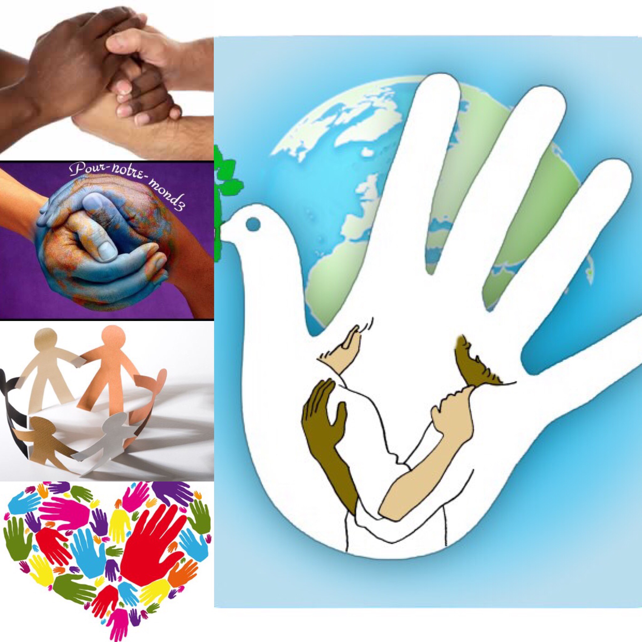 Une Ecologie des relations