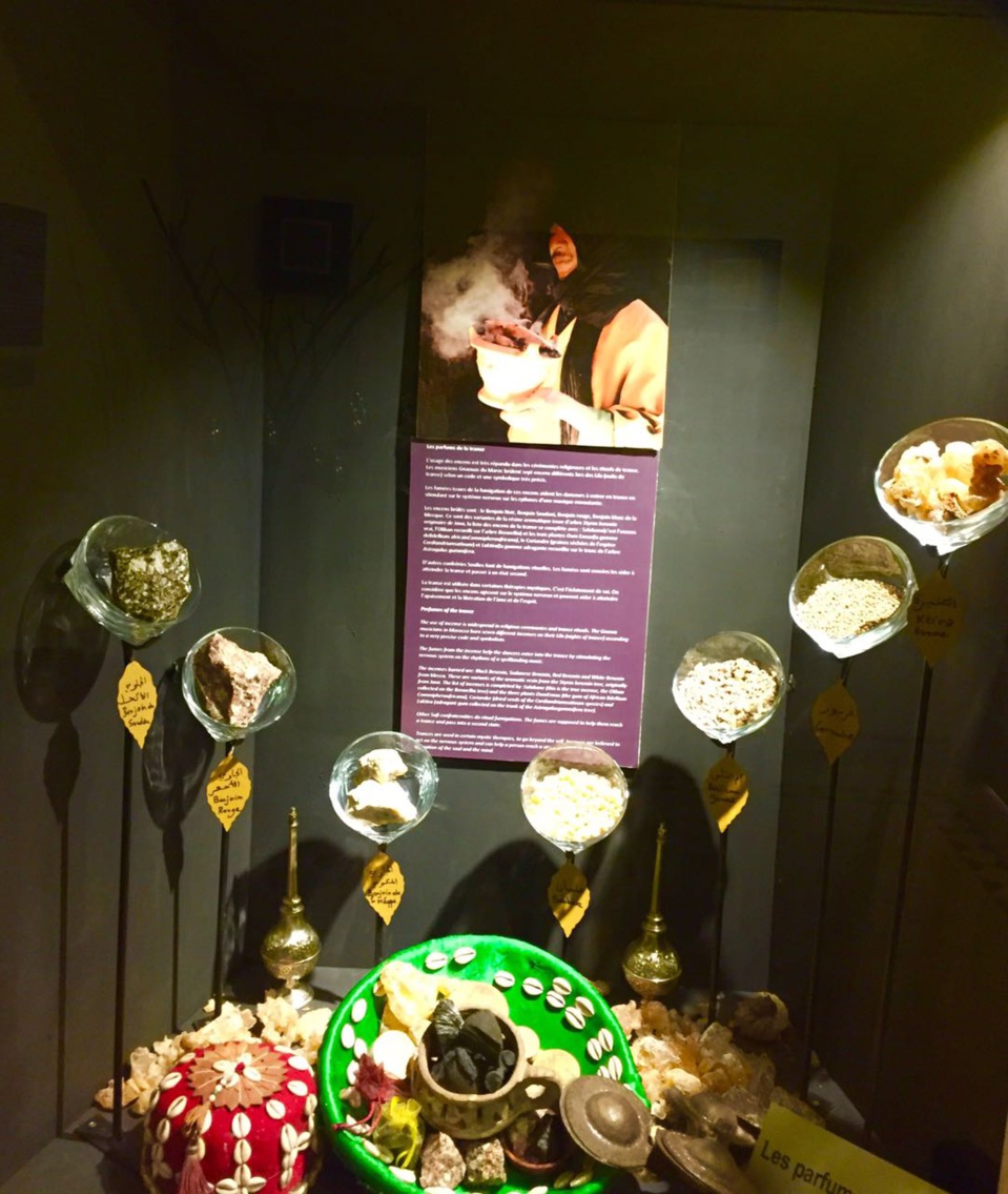 L’arbre à encens L’arbre à encens