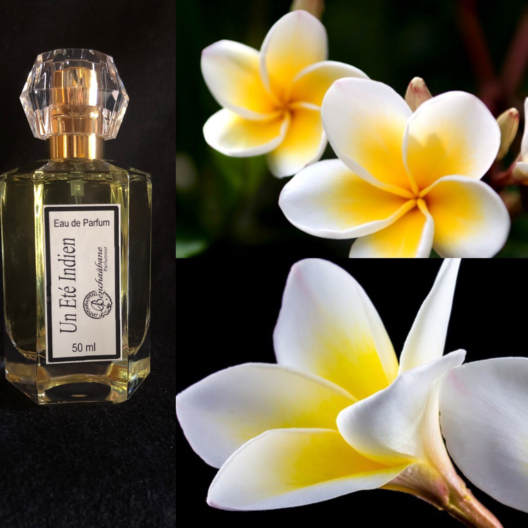 Un Été Indien Un Été Indien