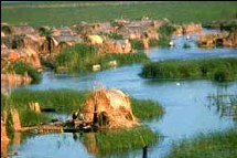 Une vision du passé ? Village palustre dans les marais du Sud de l'Irak. Source : Iraq Foundation.