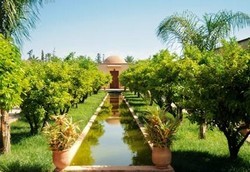 Le Musée de la Palmeraie de Marrakech consacré à l’Art contemporain  et à la Nature Inaugure sa saison artistique et présente au public les sculptures et gravures de l’artiste  Moulay Youssef Elkahfaï