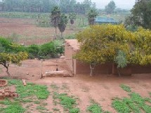 La diversité du bioclimat au Maroc favorise le développement d'une flore d'environ 4.200 espèces végétales La diversité du bioclimat au Maroc favorise le développement d'une flore d'environ 4.200 espèces végétales