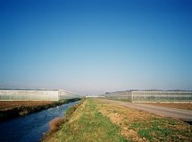Le conseil de la région contribue pour 600.000 DH à l'organisation du Salon international d'Agriculture du Maroc