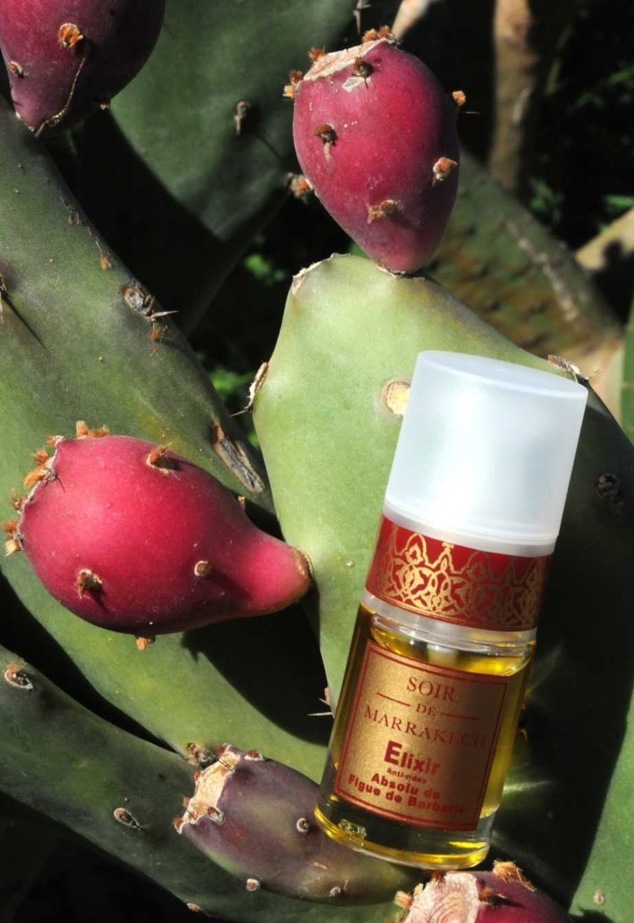 Elixir             Soir de Marrakech à l'Absolue de Figue de Barbarie Elixir             Soir de Marrakech à l'Absolue de Figue de Barbarie