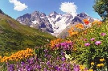 Une belle vue du Jardin Botanique Alpin du Lautaret Une belle vue du Jardin Botanique Alpin du Lautaret