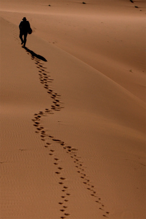Mes Parfums du Soleil Mes Parfums du Soleil