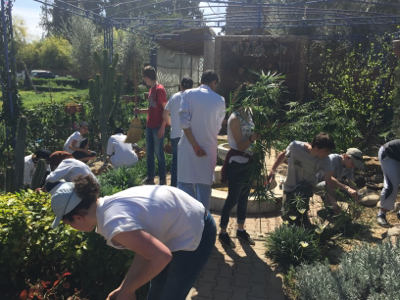 La fondation Benchaâbane soutient la création d'un jardin solidaire dans un centre hospitalier à Marrakech La fondation Benchaâbane soutient la création d'un jardin solidaire dans un centre hospitalier à Marrakech