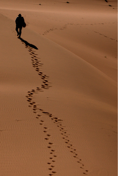 DÉSERT Terre des Parfums Balsamiques DÉSERT Terre des Parfums Balsamiques