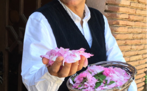 La Rose de Mai La Rose de Mai