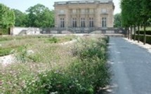 Jardins et intimité dans la littérature européenne (1750-1920)