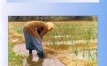 Anthropologie de l'irrigation, les oasis de Tiznit, Maroc
