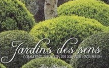 Jardins des sens : Comment réussir un espace paysager