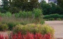 Jean-Paul Pigeat et la passion des jardins