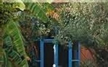 Les jardins des délices