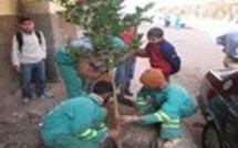 Programme de plantation d’un million d’arbres au Grand Casablanca