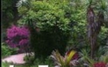                   Un nouveau compagnon de route pour tous les amateurs de jardins. 