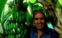                            Brahim Baâlal : Amateur jardinier et nomade rêveur