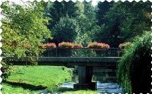                              Fête des plantes 2008  à Saint-Étienne
