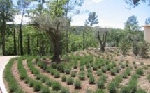 25èmes journées des plantes et jardins