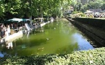 Journées des plantes d’Albertas