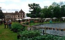 Jardins en Fête, Journées des plantes.